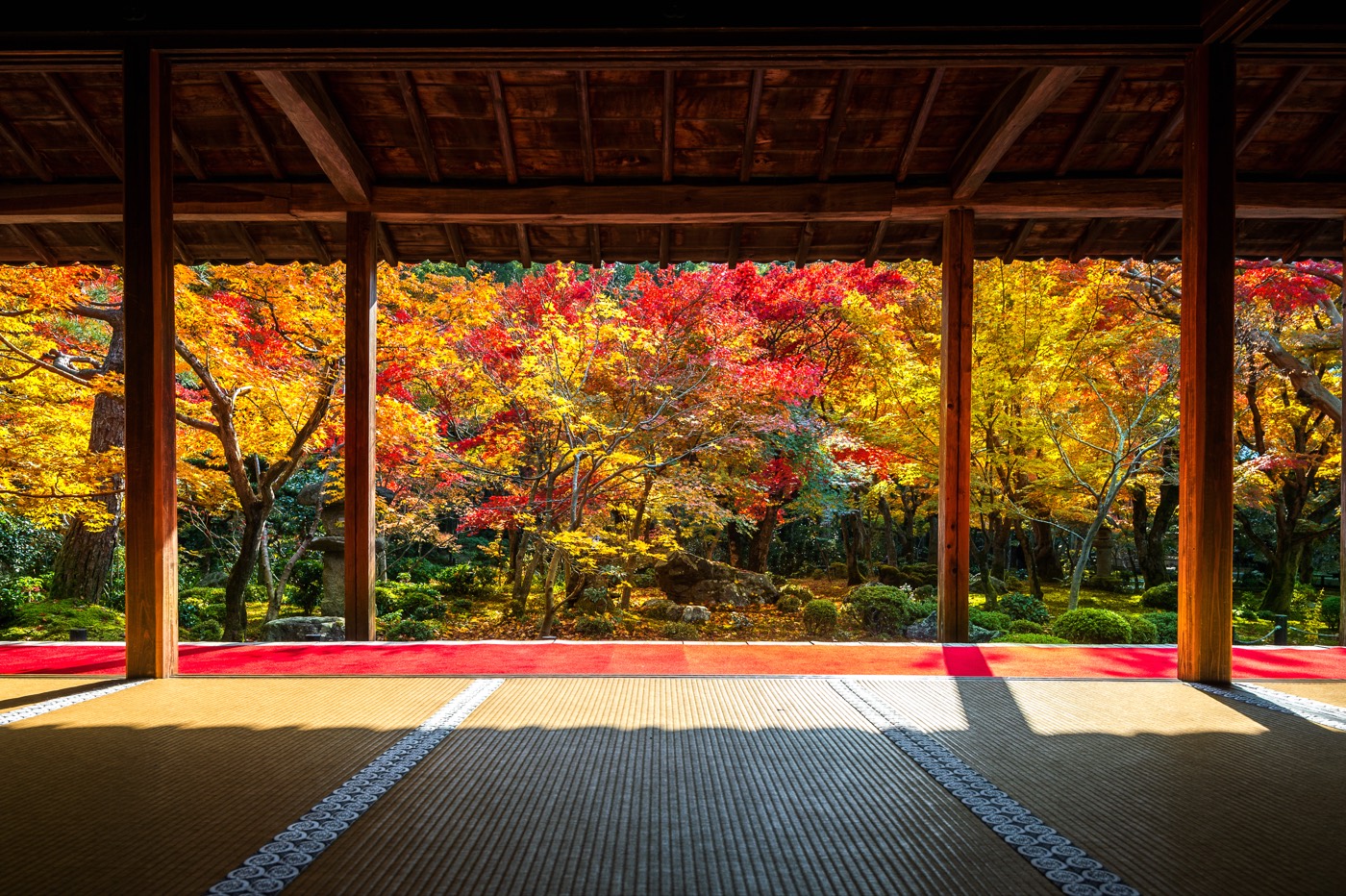 A raked zen garden